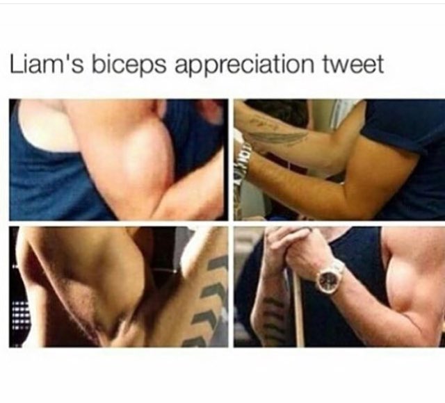 ohnogottaniall's tweet photo. #liamappreciation 😍😍 https://t.co/i12Hrd4Ij4