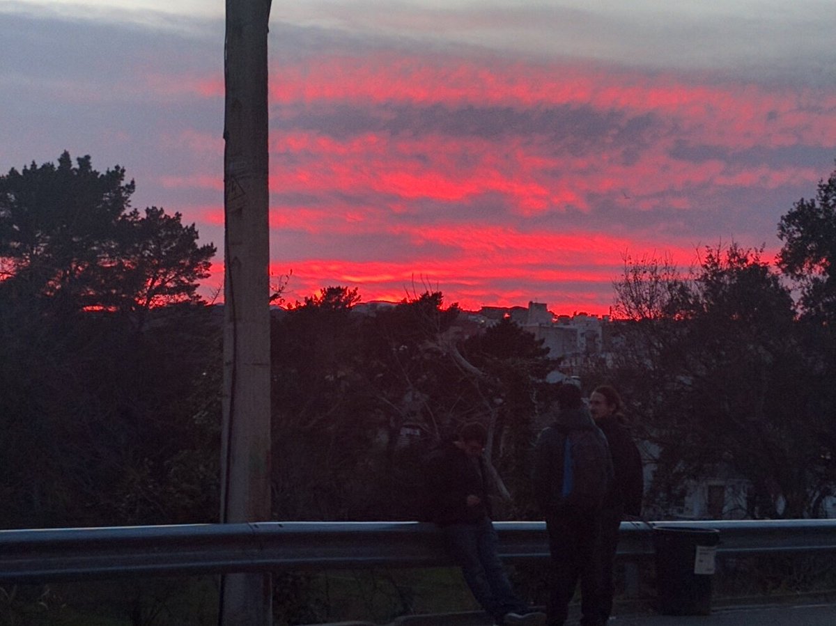 insserrallarga1's tweet photo. @insserrallarga Cercant la primavera. Casvespre espectacular! https://t.co/U8JhBZ88WR