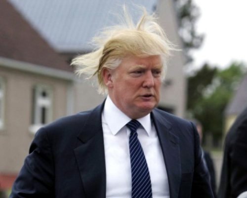 YourBenchMark's tweet image. [visually impaired Secret Service agent yells into sleeve]

Head shot! Sniper at four o'clock!