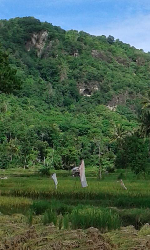 Sumarty7's tweet image. #NTB_BIMA