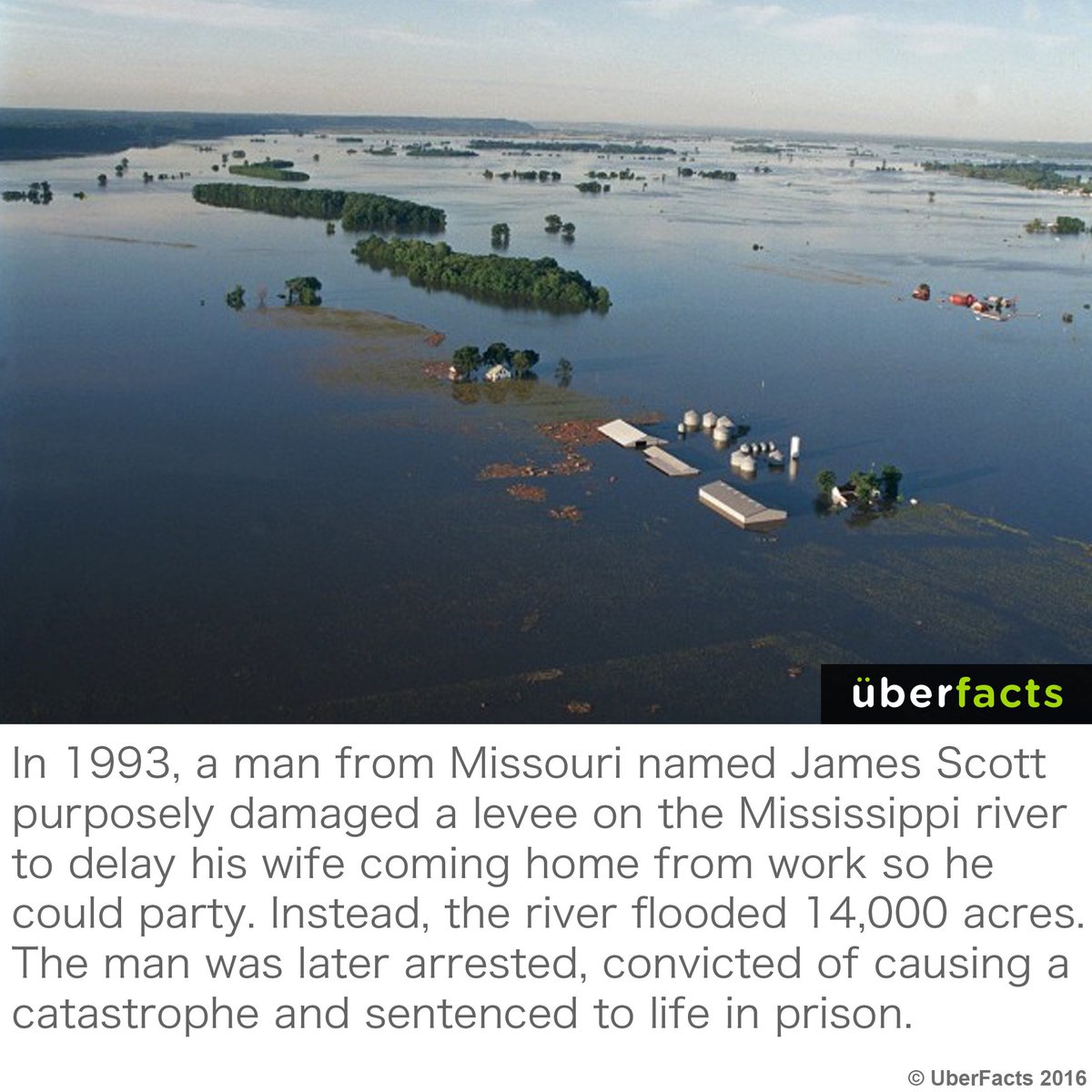 UberFacts's tweet photo. All of that just to party. https://t.co/88aC2l8oxx