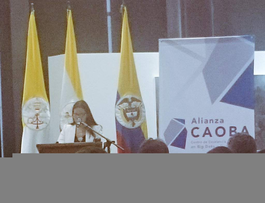 sistemasPUJ's tweet photo. @apomaresq profesora del departamento y directora encargada de Alianza CAOBA habla de sus beneficios #CaobaEsBigData https://t.co/Lg52eXjMcZ
