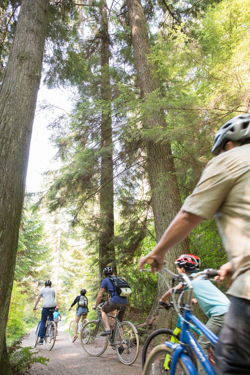 Cycle City Tours tweet media