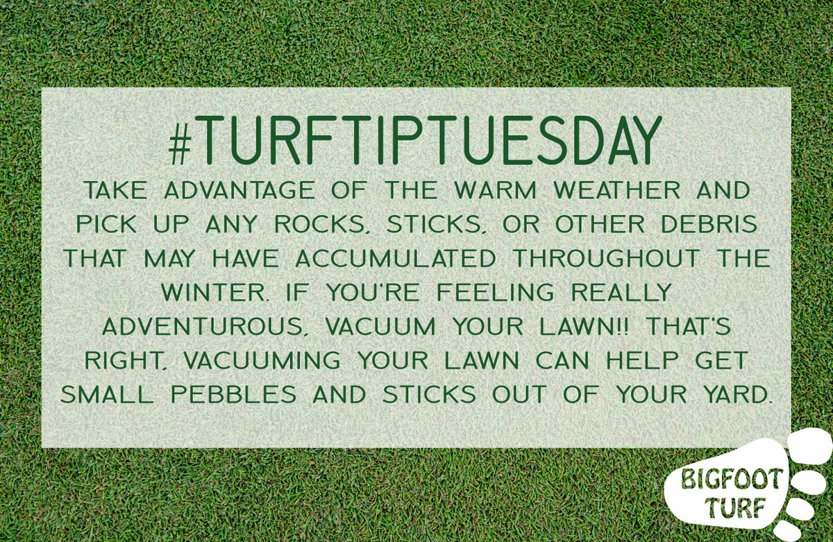 Bigfoot Turf tweet media