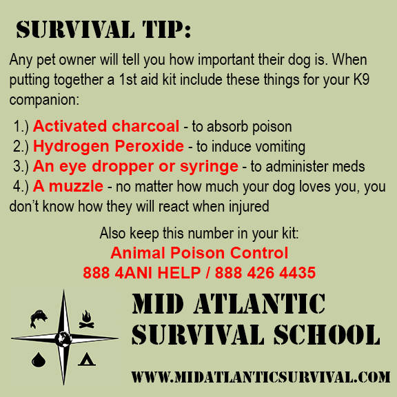 _survivalschool's tweet photo. #survival #prepper #preppertalk #survivalinfo #survivalist #primitive #prepared #preparedness #SAR #survivalskills https://t.co/7NbdPtUP0O