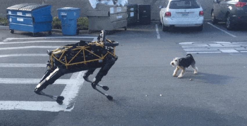 HandmadePet's tweet photo. Dogs will fight alongside us in our war against the #robots | #BotsOfWar #BostonDynamics https://t.co/GKGBo9Ccdy https://t.co/7CuPKk33wH