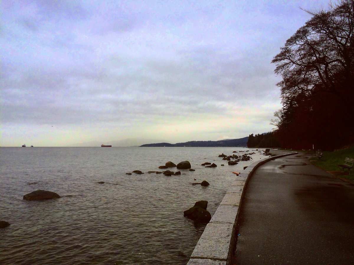 ekitch's tweet photo. Wow it's wet. And cold. But mainly wet. #Vancouver #stanleypark https://t.co/wctTulqoFY