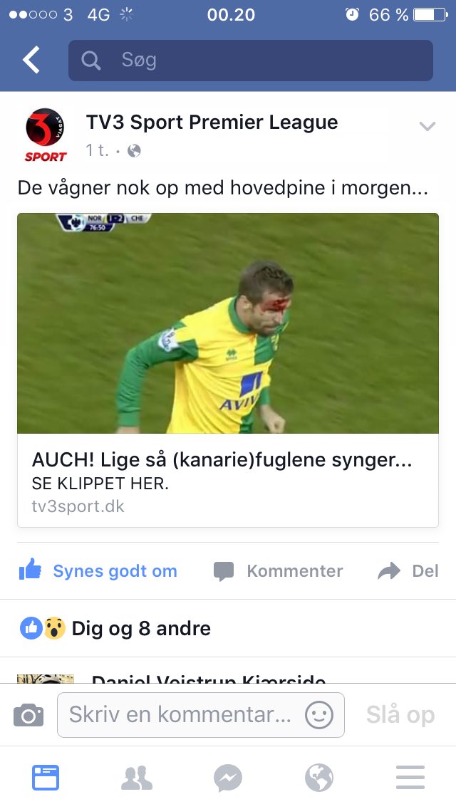 hulle86's tweet photo. Jeg havde en fest på redaktionen i dag...#ordsmed #pldk #canaries https://t.co/CSma3Q4OcG
