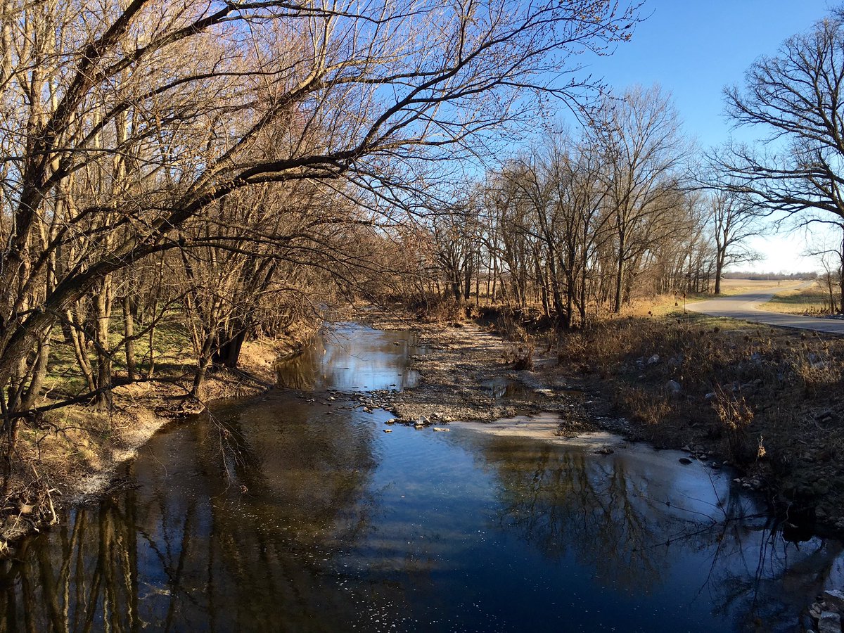 markileaming's tweet image. #MarkLPicofDay for March 1, 2016:  #7daysofnature Day 2:  Dry Fork Creek in north-central Jasper Co, #Missouri