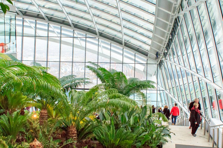 TheLondonSecret's tweet photo. Fancy a free indoor garden on the 35th floor? With a spectacular view over central #London? https://t.co/gDcDuLFHge https://t.co/hilqPXBnaB