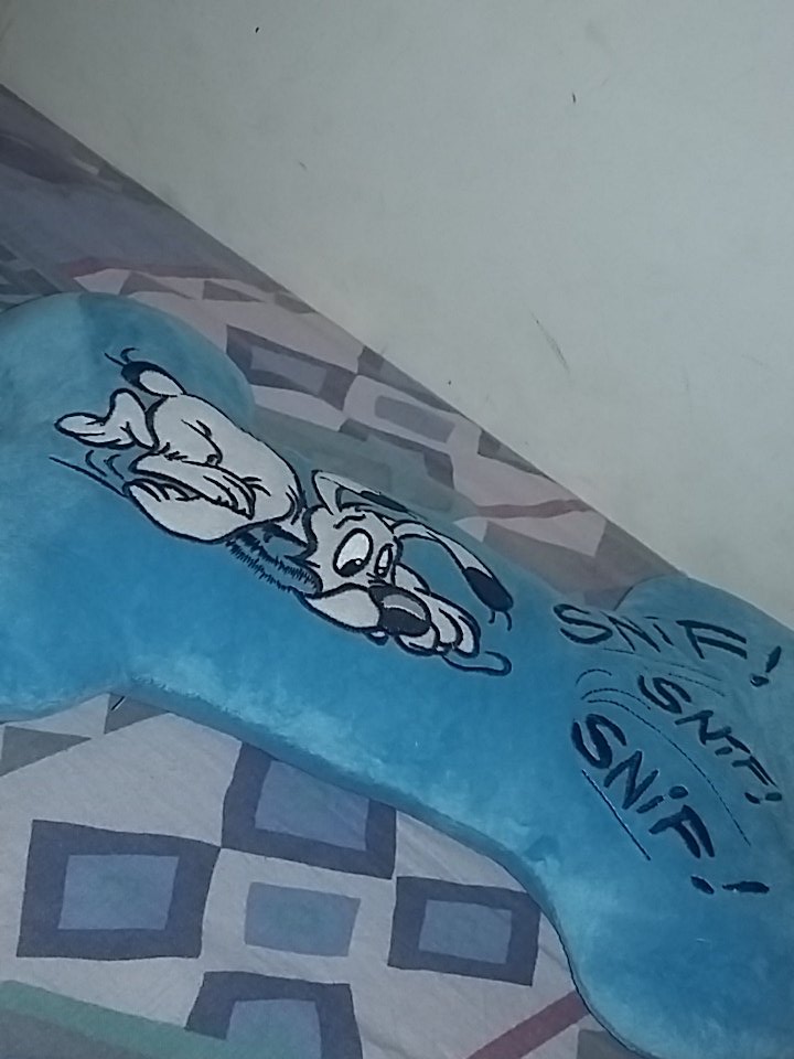 LVignane1's tweet photo. Après cette journée lourde en émotion go dormir avec le coussin qu'il m'a donner 💖.. #amourdistance https://t.co/SeRxn4IFbx