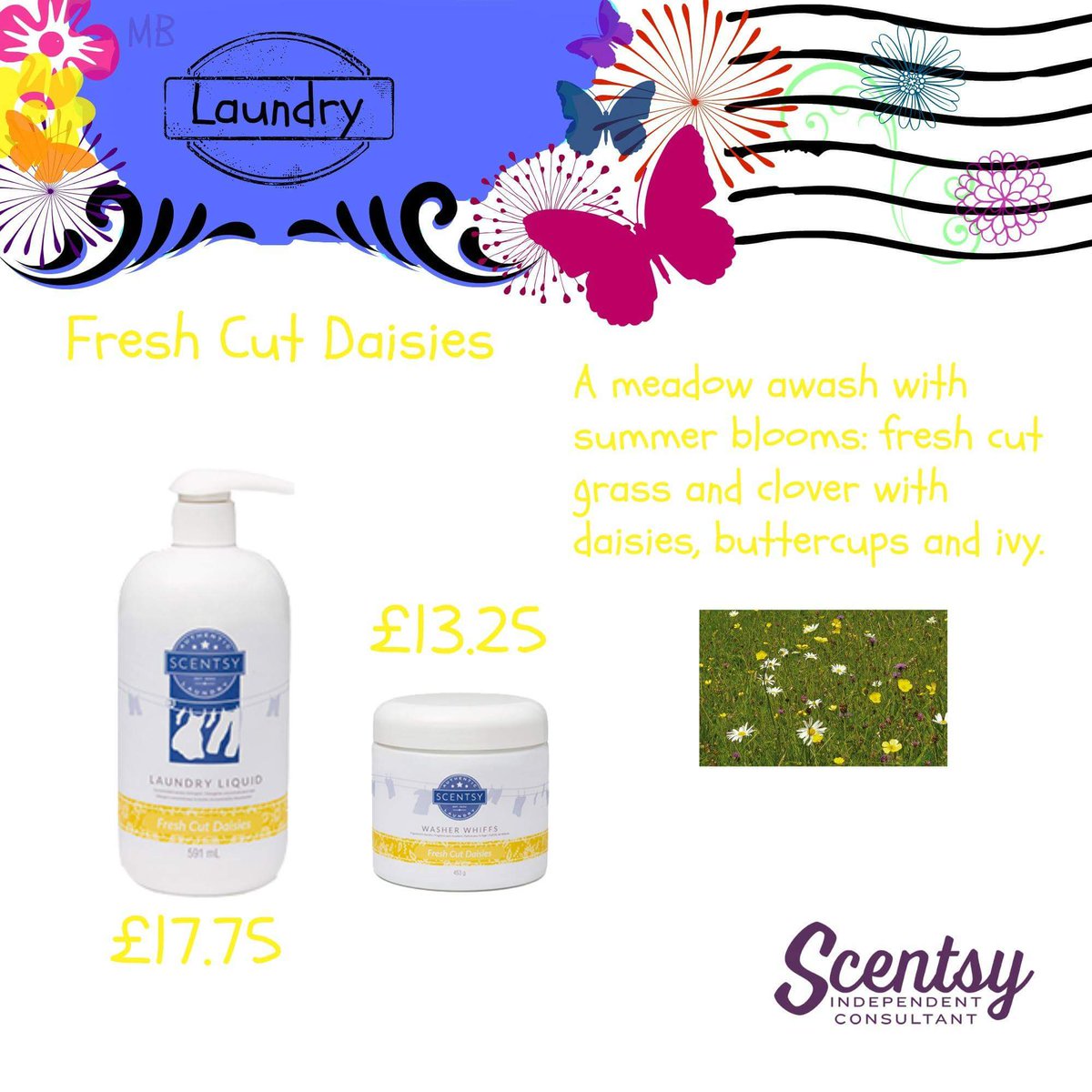 SarahJFarquhar's tweet photo. Washing never got soooo exciting! #scentsy #freshcutdaisies #laundryliquid #washerwhiffs https://t.co/sw3IoRbSYN https://t.co/Rglf6mMGBQ