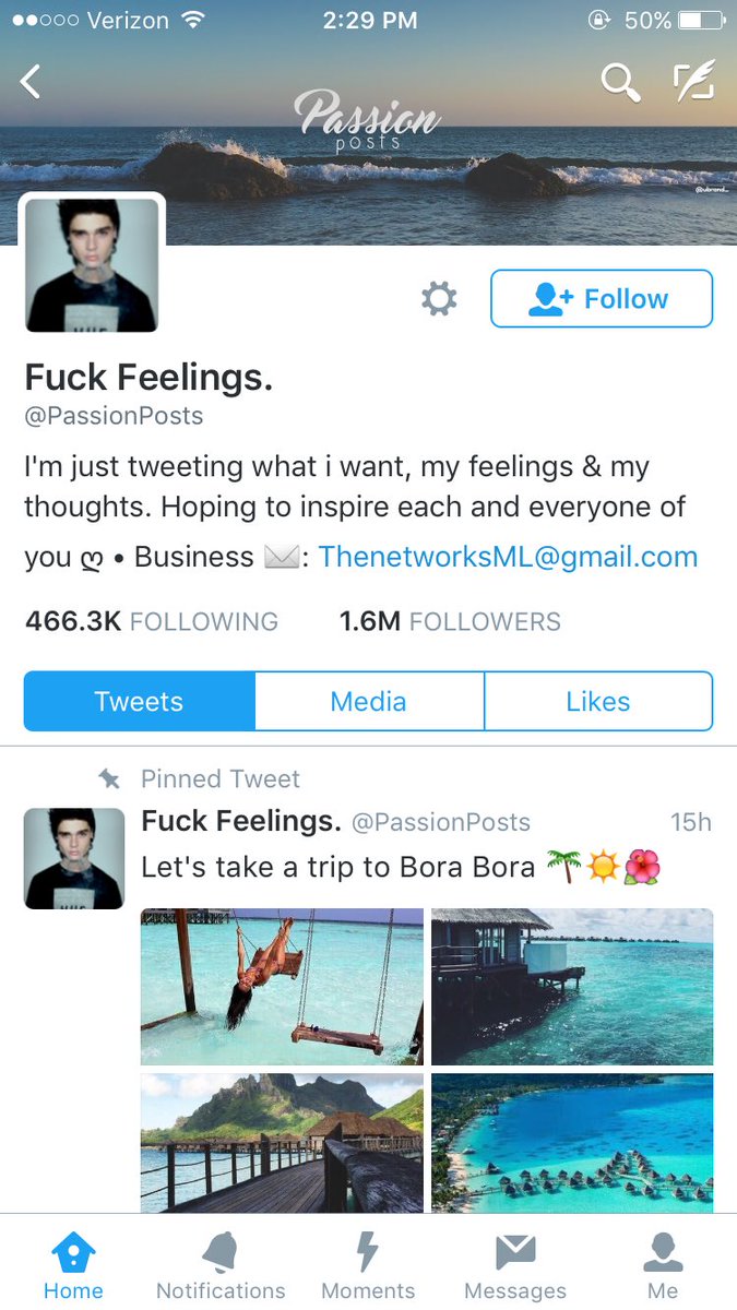 AGroenendyk's tweet photo. all these Twitter accounts make me want to set myself on fire https://t.co/ZSvWZ2EH4r
