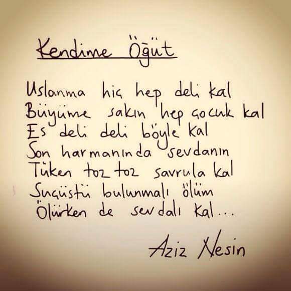 Gökhan Yılmaz (@gokhanylmz1991) on Twitter photo 