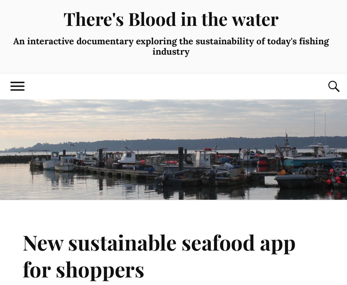 BITWdocumentary's tweet photo. Exclusive interview with Marine Conservation Society. Read the article
https://t.co/bqEgL59DAm #sustainablefishing https://t.co/n9hQjmeeXA