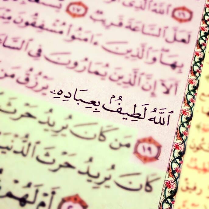 razan_chahd's tweet photo. https://t.co/FZAs02fi8i