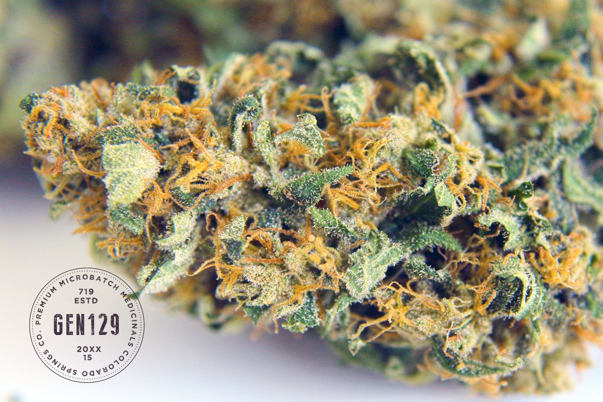 GEN129_ORG's tweet photo. Still love growing Green Crack by Cali Connection Seeds. #mmj #cannabis #weed #grow #gen129 https://t.co/SwVUacoQFi