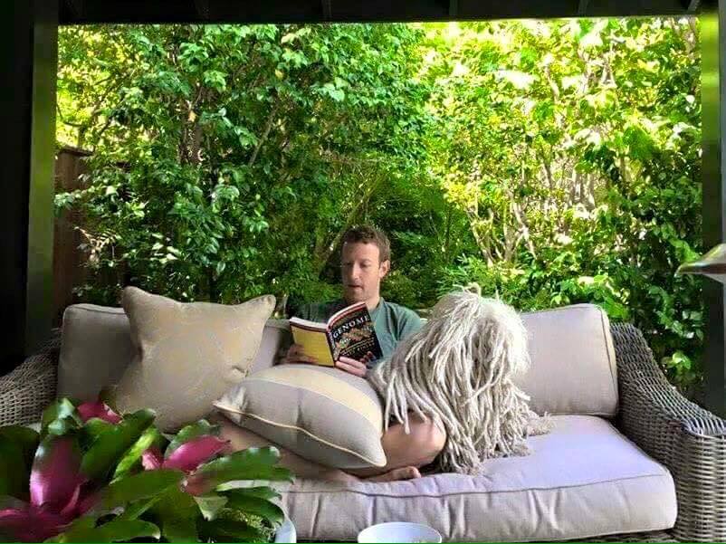 le_viseur's tweet photo. Be like @MarkZuckerbergF https://t.co/ZV2o04LNtW
