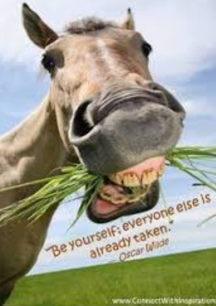 Be yourself everyone else is already taken-Oscar Wade #horses #equestrian #EquineHour #beyourself #BeDifferent