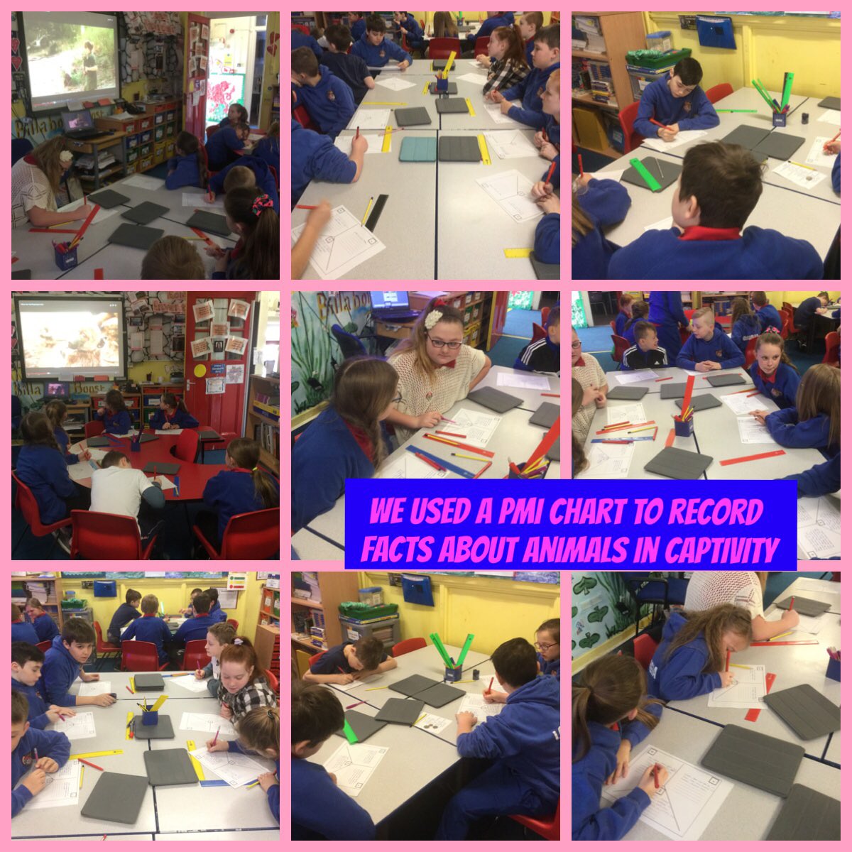 PPSAwyr's tweet image. Exploring animals in captivity through our Jumanji unit @Phip_Primary @catmacaerphilly #gettingitwrite #phiplit 📝📖🐒