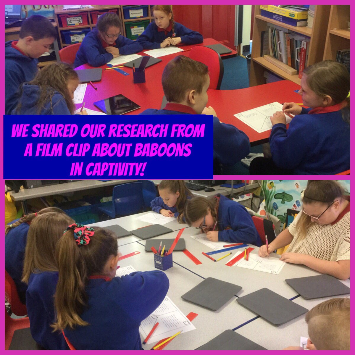 PPSAwyr's tweet image. Exploring animals in captivity through our Jumanji unit @Phip_Primary @catmacaerphilly #gettingitwrite #phiplit 📝📖🐒