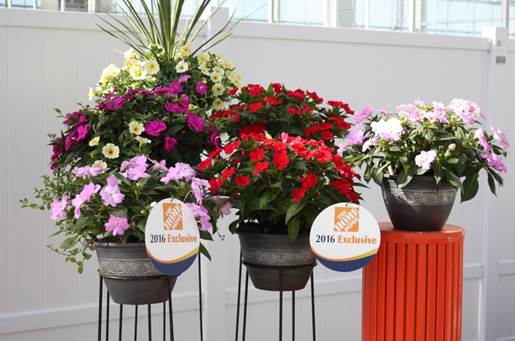 ClassicHG's tweet image. Our Home Depot Exclusive Select Containers at SpringTrials @FlowersBySakata Everybody loves Sunpatiens! #BringSpring