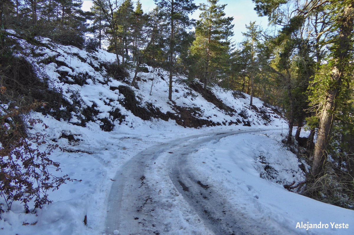 ayeste8's tweet photo. Avui encara força neu a zones obagues de les Muntanyes de Prades i bona visibilitat amb vistes al Pirineu. https://t.co/aQvhuF4Xzi