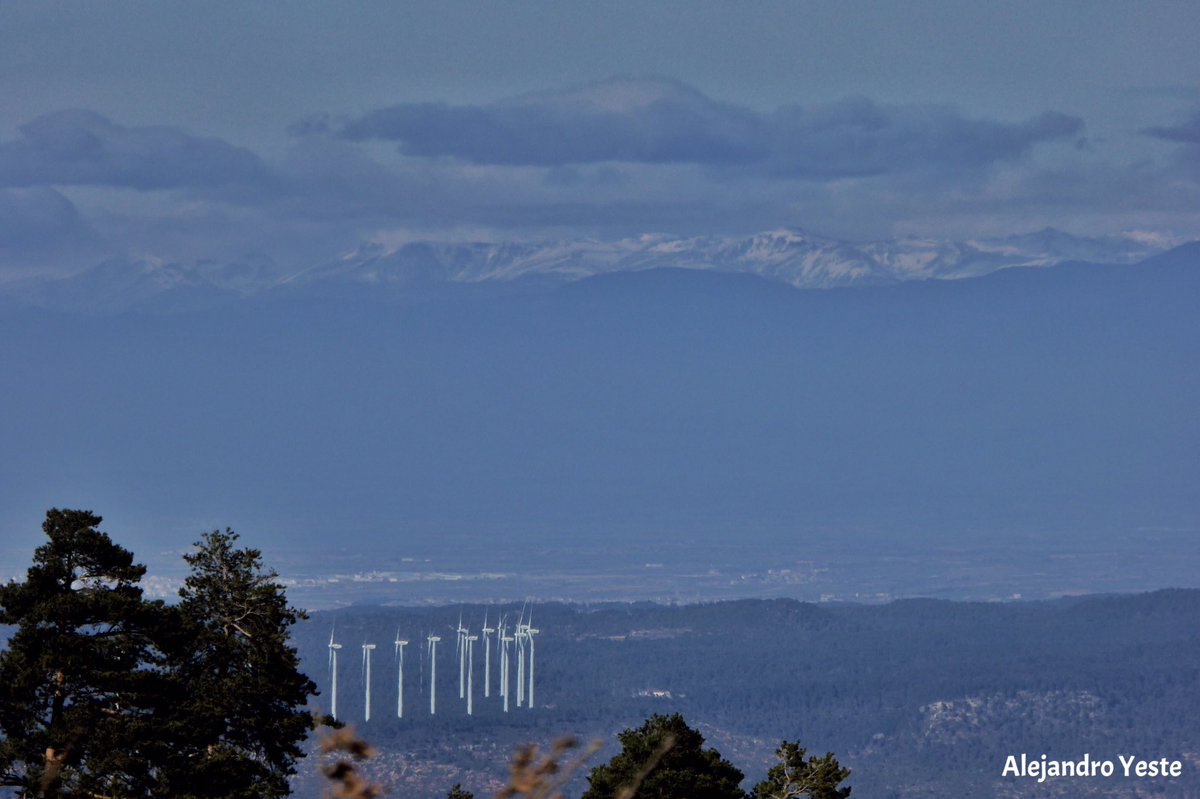ayeste8's tweet photo. Avui encara força neu a zones obagues de les Muntanyes de Prades i bona visibilitat amb vistes al Pirineu. https://t.co/aQvhuF4Xzi