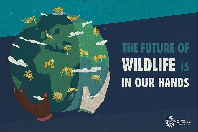 WWF tweet picture