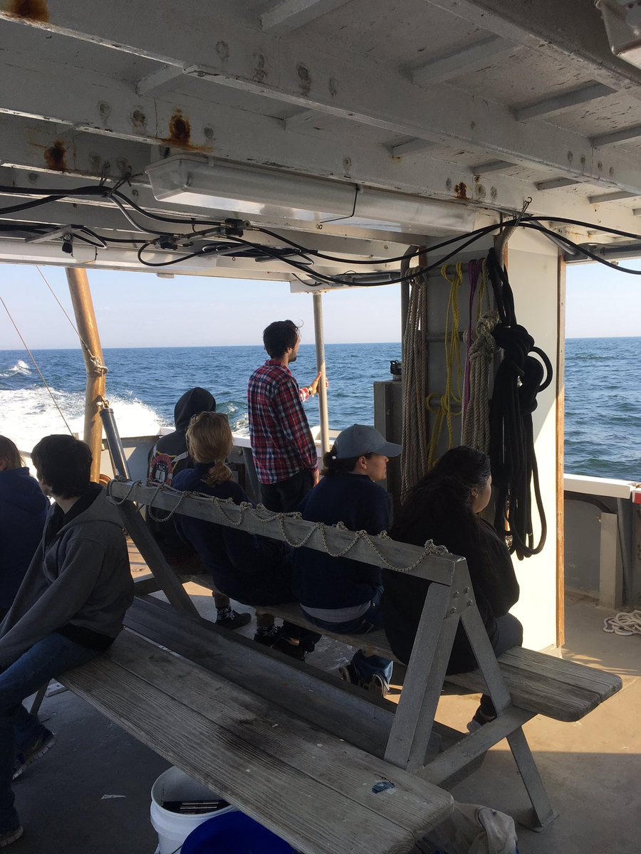 Perfect cruise day #mb362 #CTD #ROV #planktontow <a href="/MarineSciUNCW/">UNCW Marine Science</a> <a href="/mnemiopsis/">Rob Condon</a>