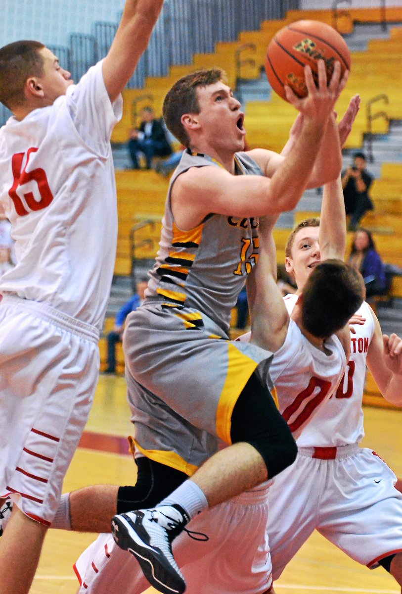 The Reporter Sports tweet media