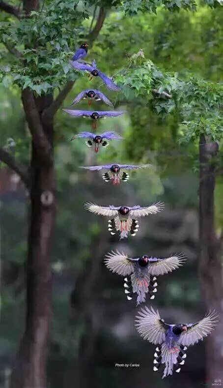 pir_zana's tweet photo. @gundogan_reis @berketeknik1 @asiye_bilek @vardar_filiz @akifdogan42 @NAlravy @HuSMeN_ @RT_Erdogan @Ahmet_Davutoglu https://t.co/GNWR0AtCu4