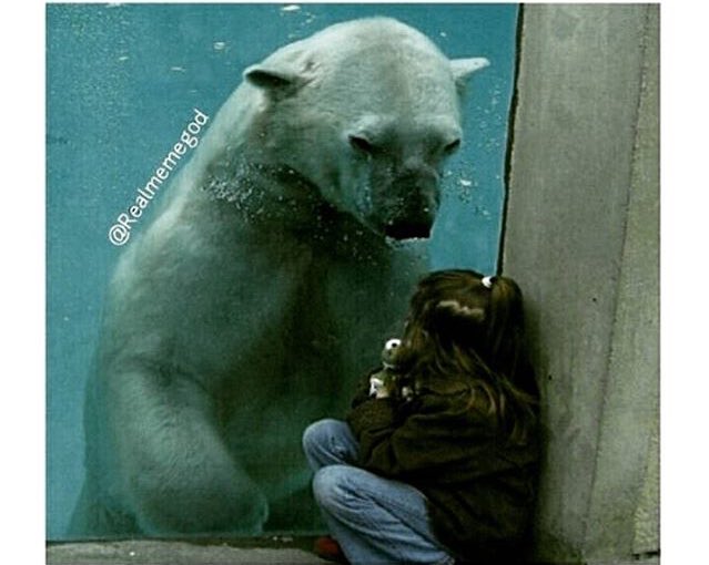 juanyehb24's tweet photo. When she make you mad but know you won't hit her 😂💀 https://t.co/xzB27LoWDo