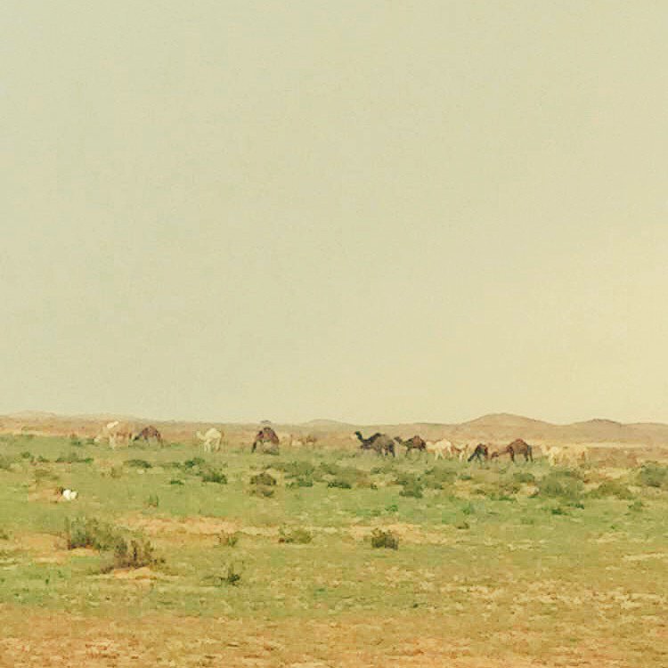 zooooo2013's tweet photo. مسااااء الخير https://t.co/o37pKVuZnw