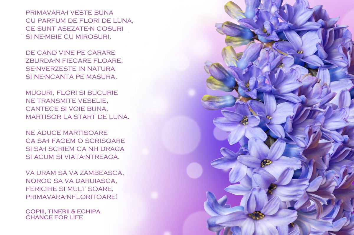 Chance For Life Chanceforlife1 Twitter