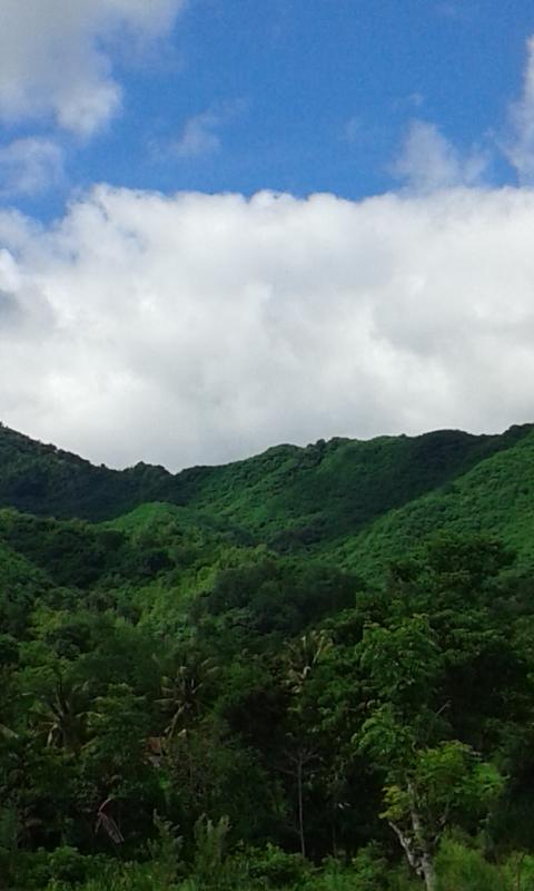 Sumarty7's tweet image. #NTB_BIMA
#INDONESIA
BAGAIKAN DI SYURGA