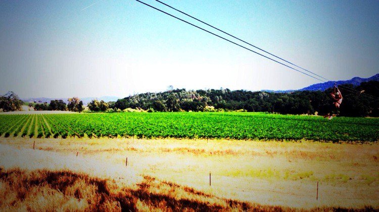 Palate Exposure tweet media