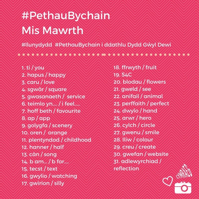 Cofia wneud llun y dydd ar twitter a instagram drwy ddefnyddio #llunydydd a #PethauBychain  ❤️🌼👌🏼