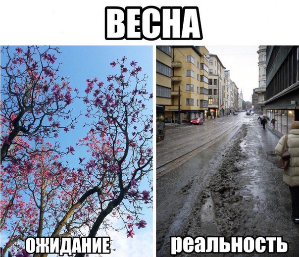 crazy_kutas's tweet photo. Ожидание и реальность https://t.co/qSk9lVgW6c