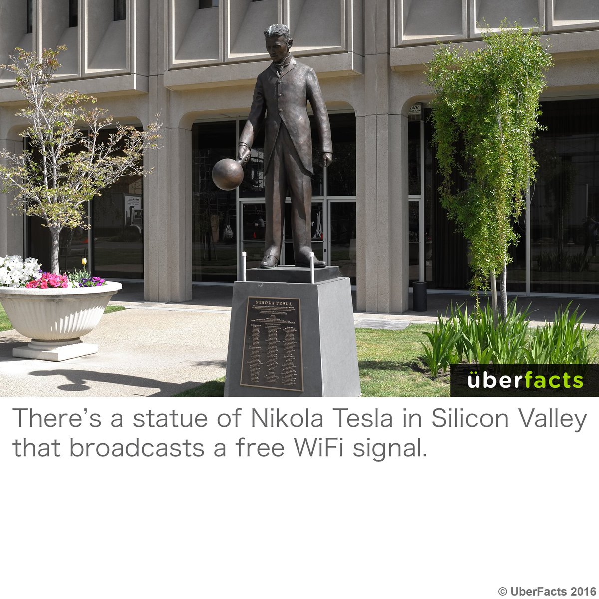 UberFacts tweet picture