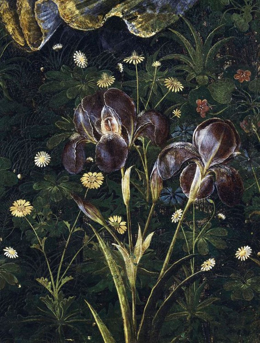 Sandro Botticelli. La Primavera. dett. dell'iris. 1482 ca. Tempera su tavola. cm. 203X314. Firenze, Uffizi