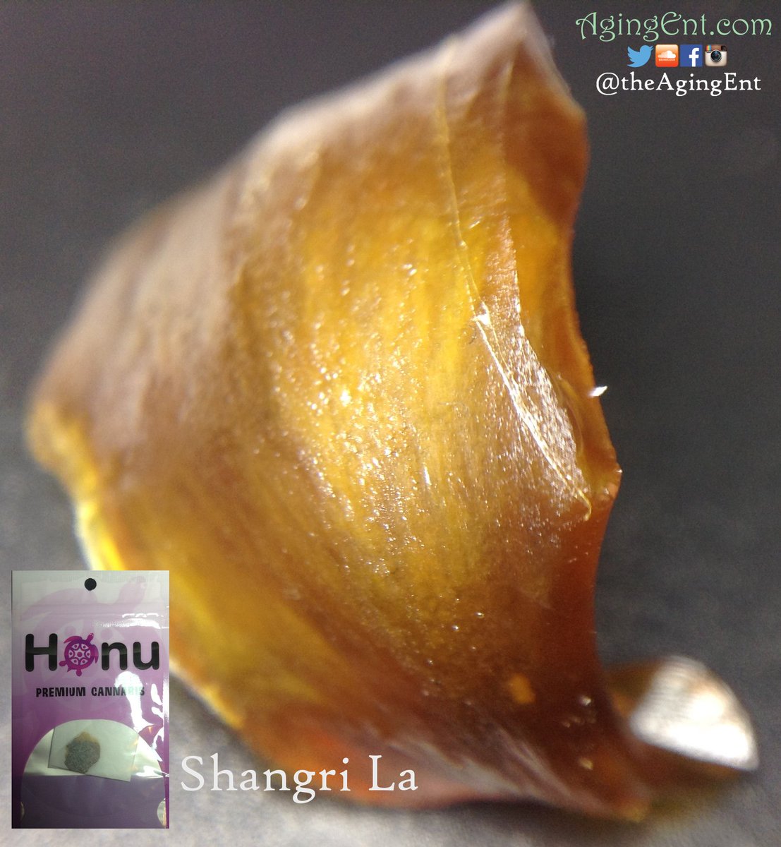 theAgingEnt's tweet photo. https://t.co/RSH6nhGiS1
@HonuInc #ShangriLaOG #SnapandPull #WAPot
#LegalMarijuana #StonerNation #Dabs #Concentrate https://t.co/DLBa6yIctT