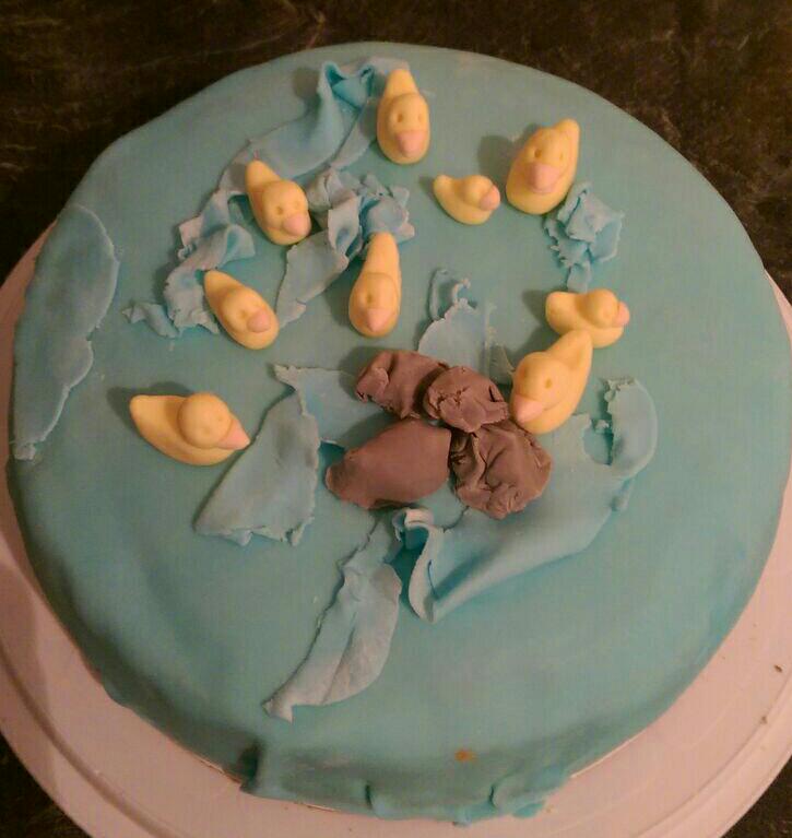 New cake #eendjes #hobby #taart
