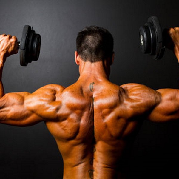 anabolicminds's tweet image. Put Some Polish On Your Front Delts:  How to raise… anabolicminds.com/articles/put-s… #Training #deltworkouts #exerciseorder