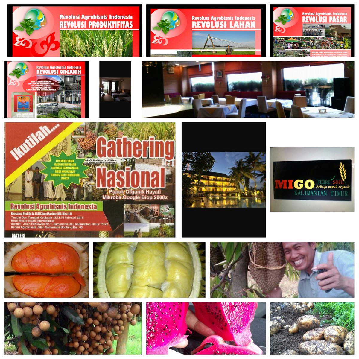 MikrobaGoogle's tweet photo. Gathering Nasional Samarinda Kalimantan Timur
#Biop2000z
#Ferresoil
#Phosmit
#Organik
#PupukHayati https://t.co/VH3rDi3Pqz