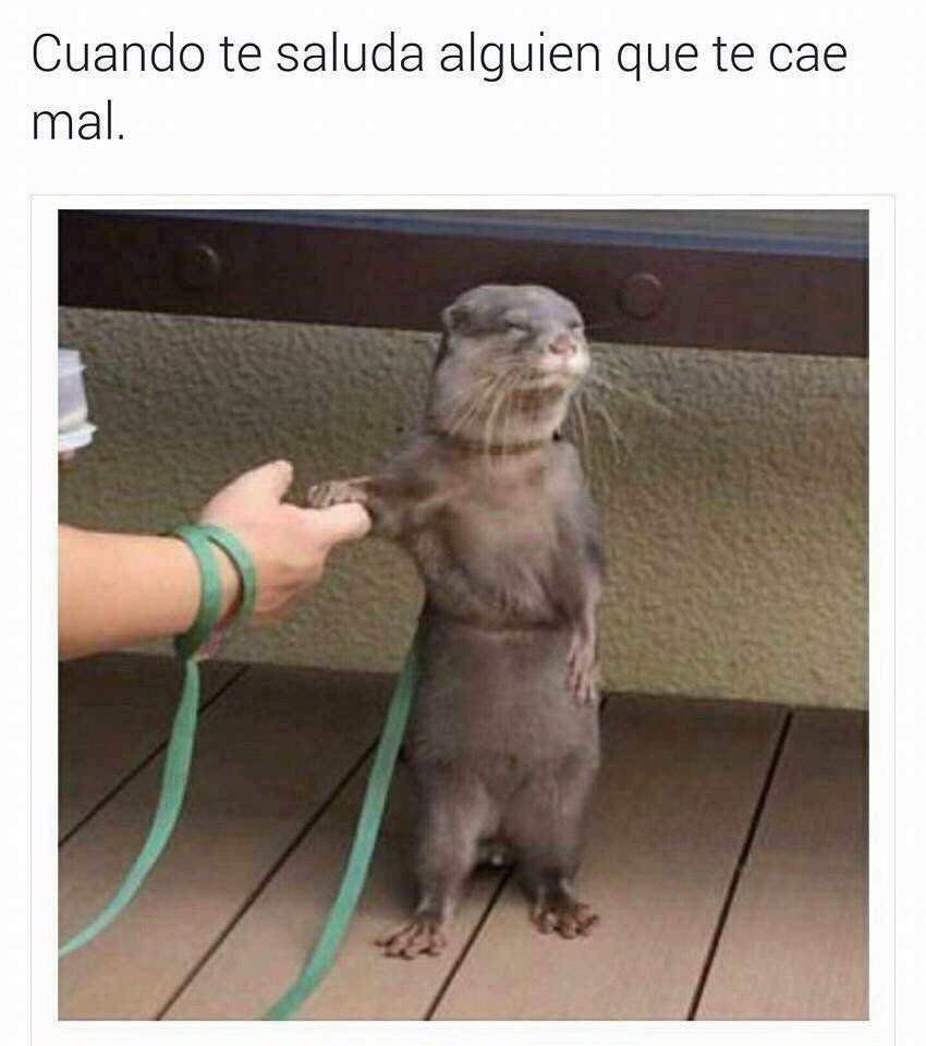 Bebi Fernández tweet media