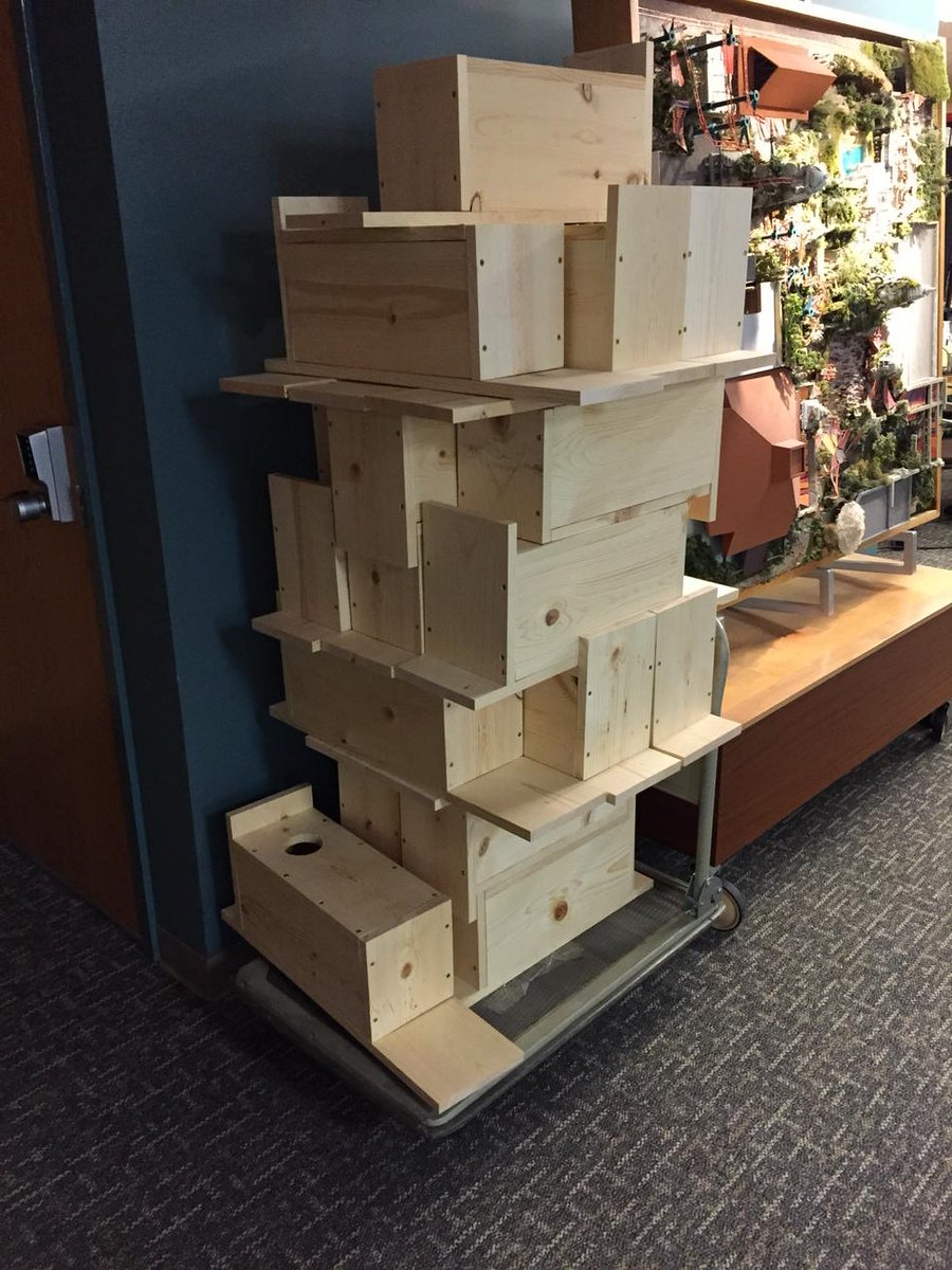 Poezilla's tweet photo. I was unaware of the problem, but apparently squirrels need houses. PGAVia built these today over lunch. https://t.co/DW60rtnKxL