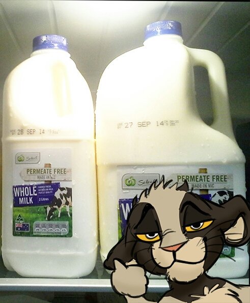 MilkTheLion's tweet photo. "Don't leave me alone with your refrigerator or you'll be out of milk" https://t.co/sAIhdvv0Vc