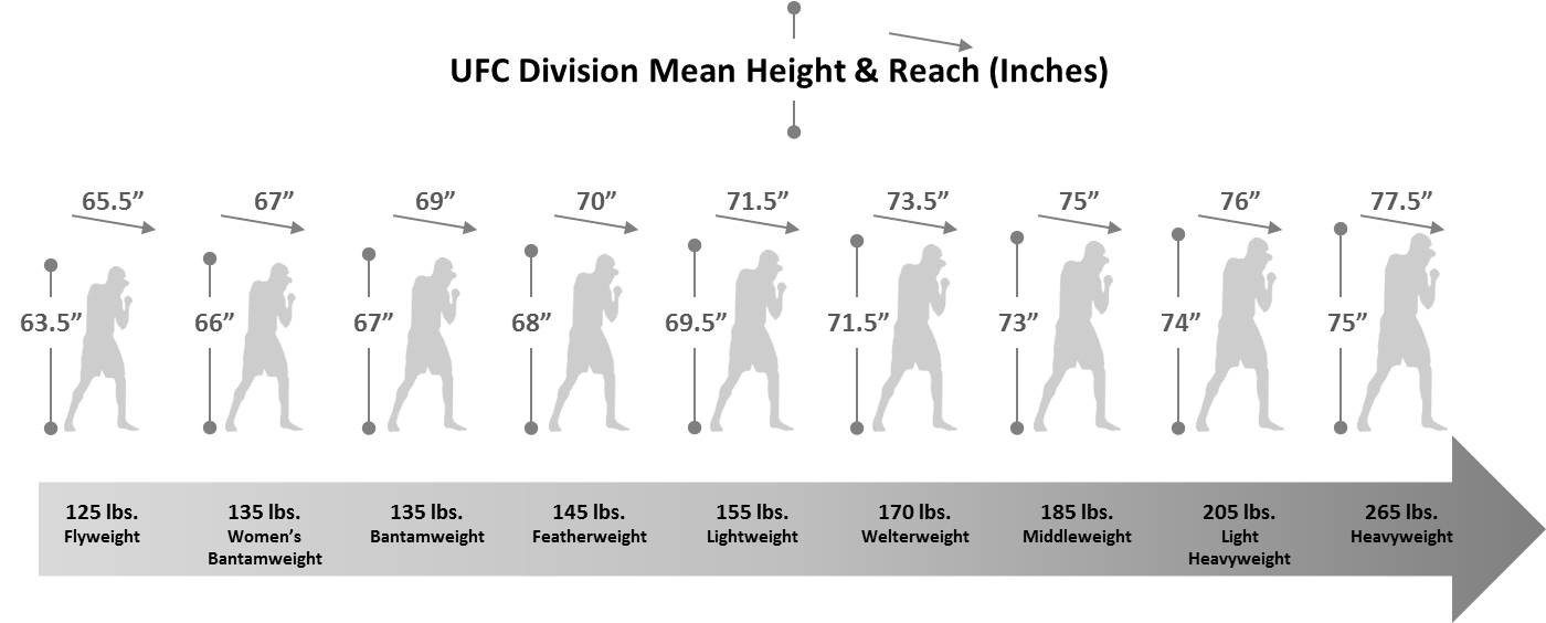The People s MMA On Twitter UFC Average Height Reach Per Weight the-people-s-mma-on-twitter-ufc-average-height-reach-per-weight
