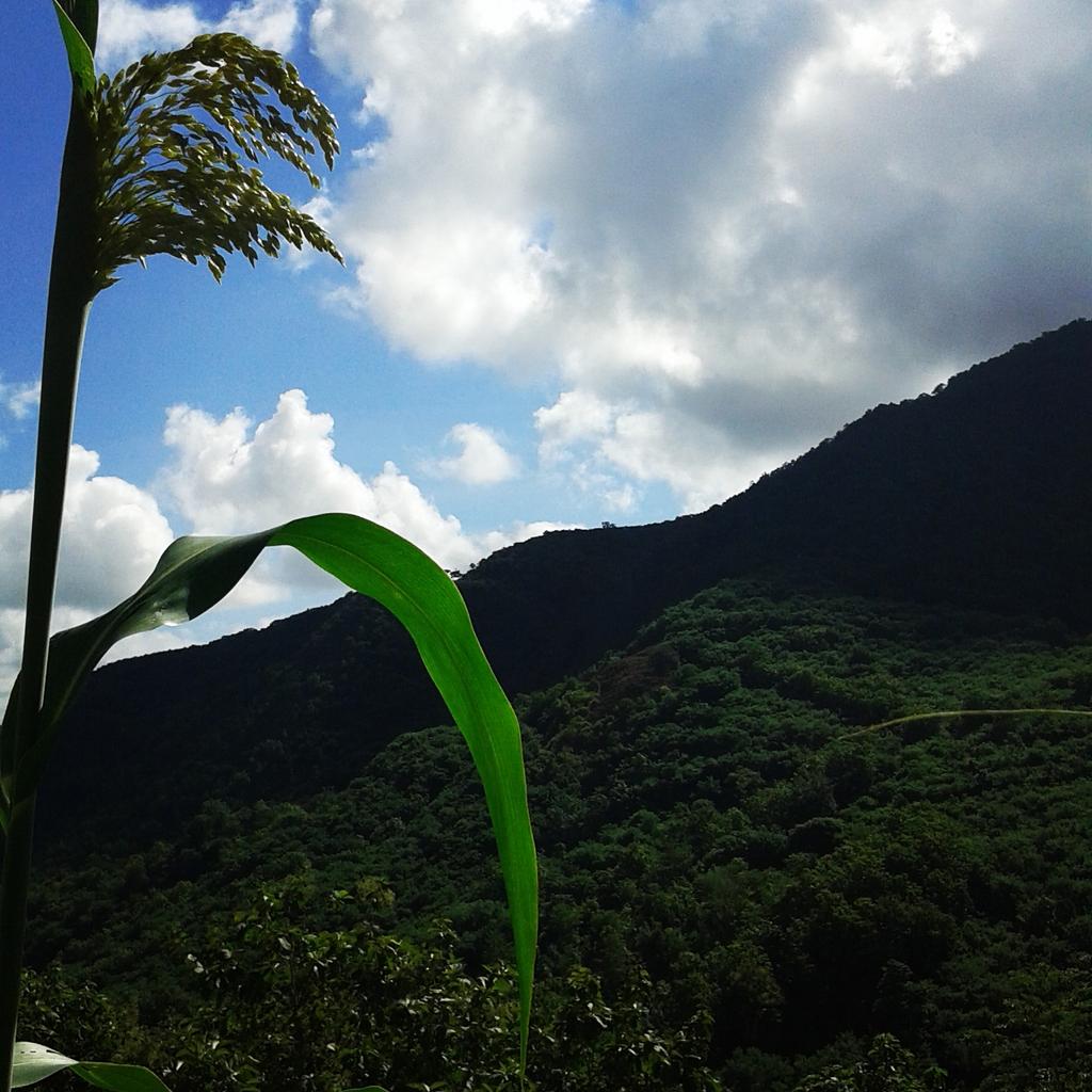 Sumarty7's tweet image. #mendung 
#pagi_ygcerah